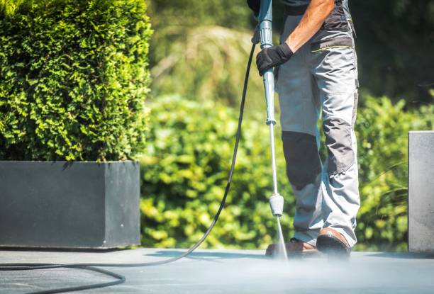 Best Roof Washing  in Kentwood, MI